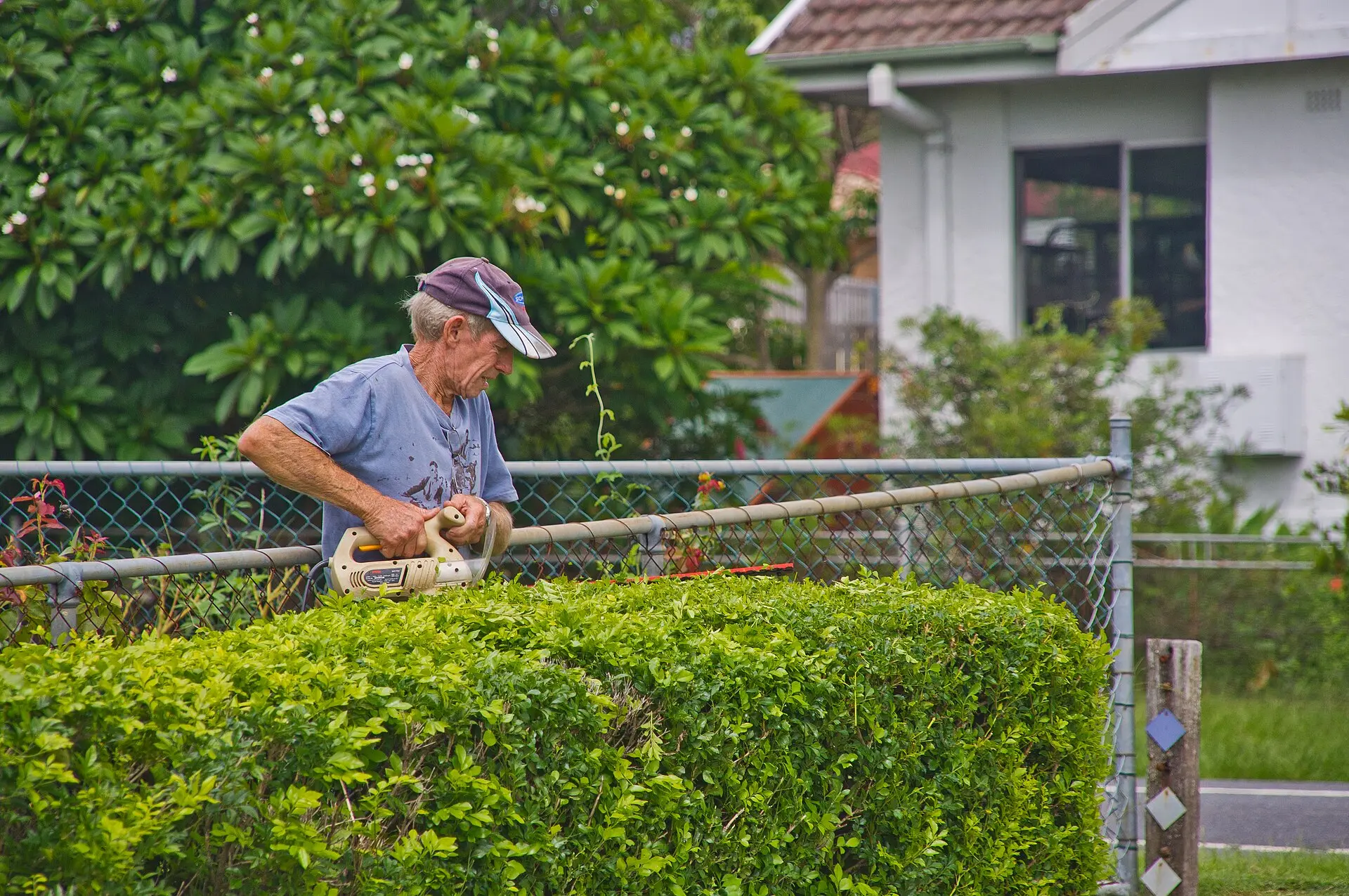 Gartenpflege in Hamburg mit Hecken- und Rasenarbeiten